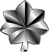 army lieutenant colonel logo